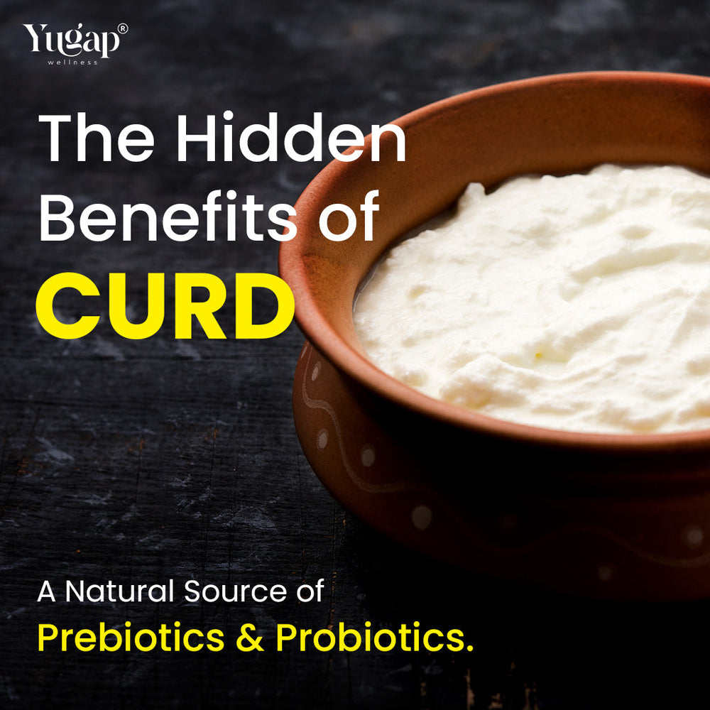 THE HIDDEN HEALTH BENEFITS OF CURD: A NATURAL SOURCE OF PREBIOTICS AND PROBIOTICS