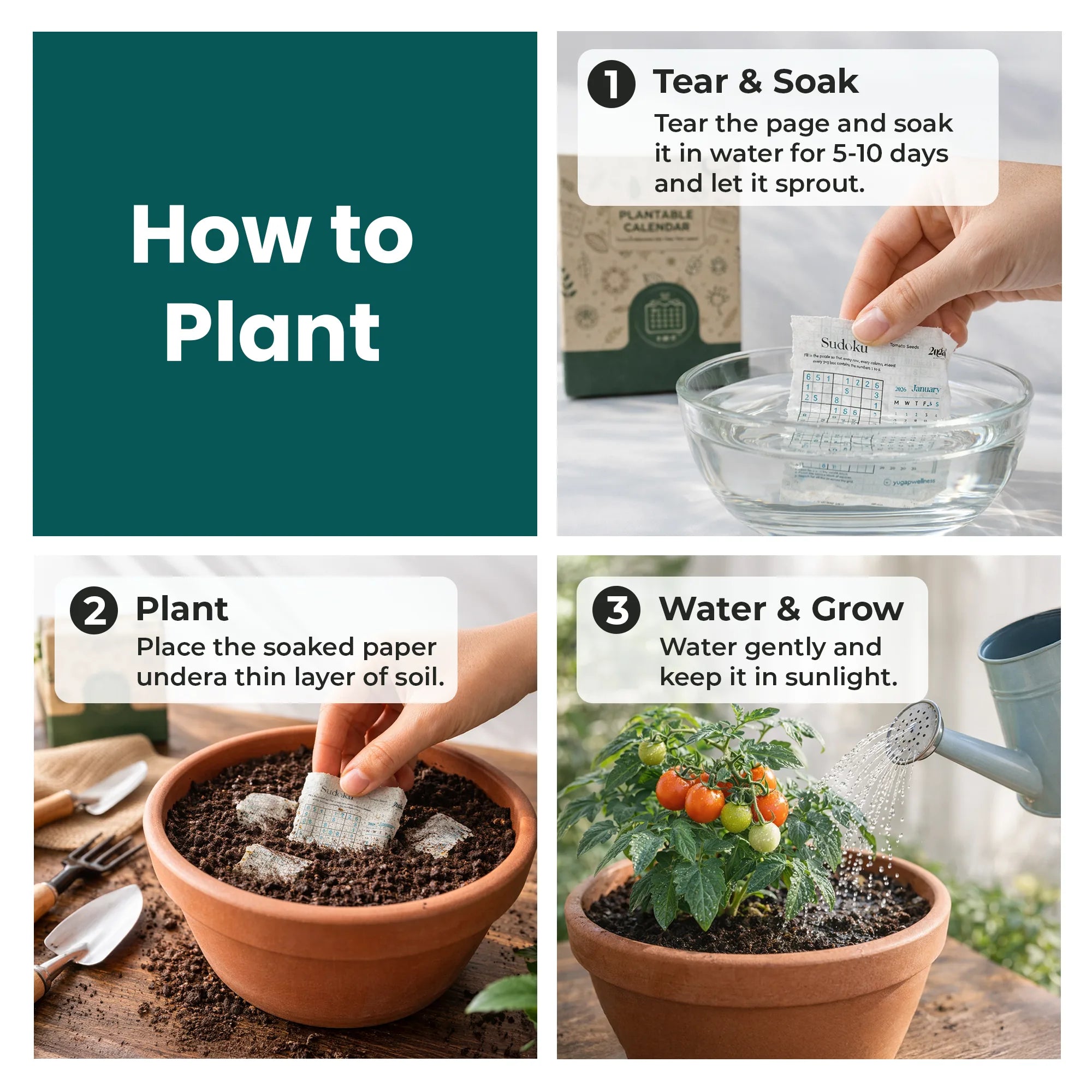 Step-by-step guide on how to plant seeds with text and images.