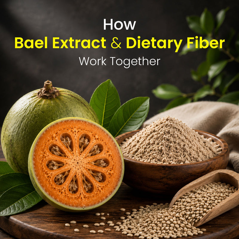 Fresh sliced bael fruit and a wooden bowl of dietary fiber powder, with text: How Bael Extract and Dietary Fiber Work Together.