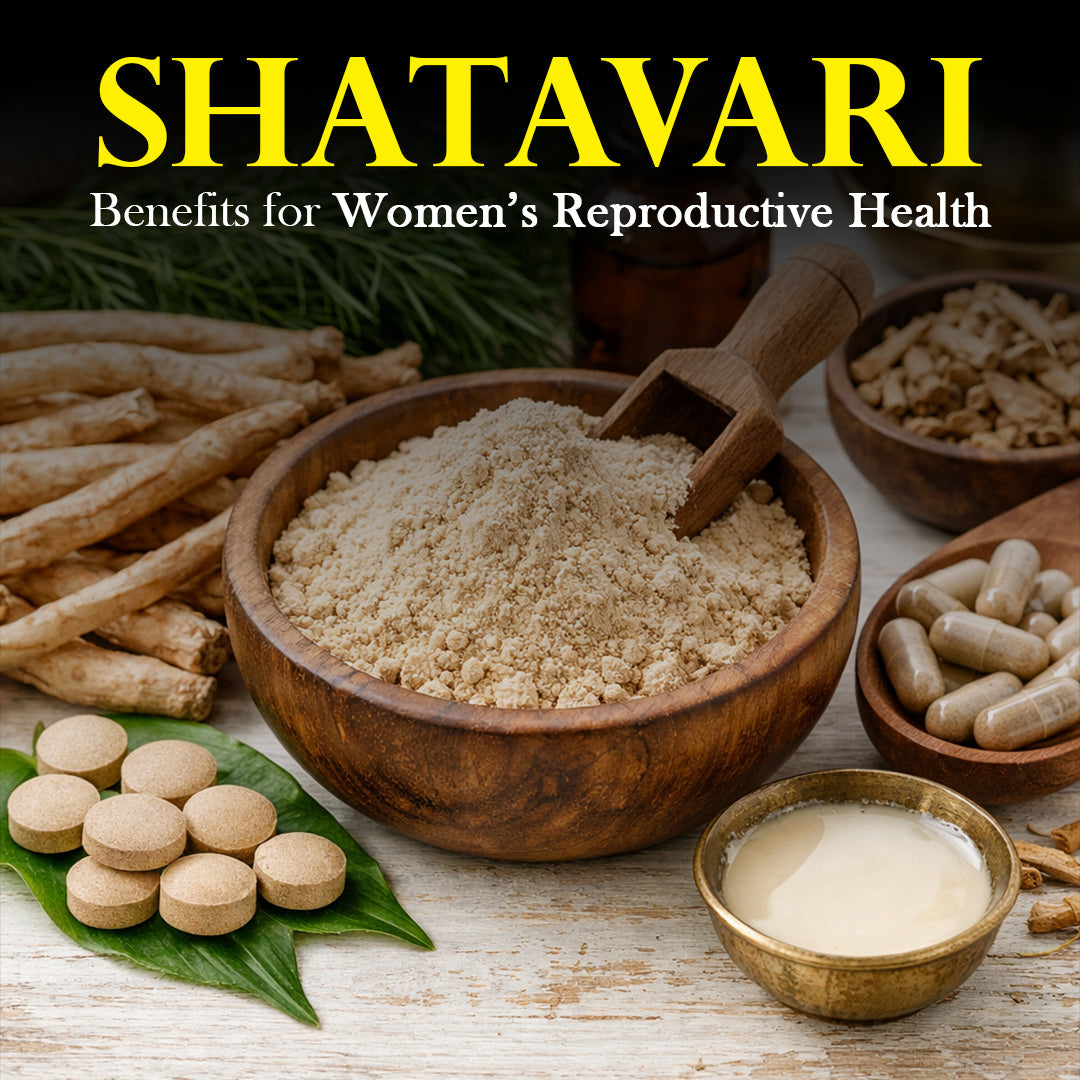 Shatavari powder and capsules showing Ayurvedic herb for women’s hormonal and reproductive health