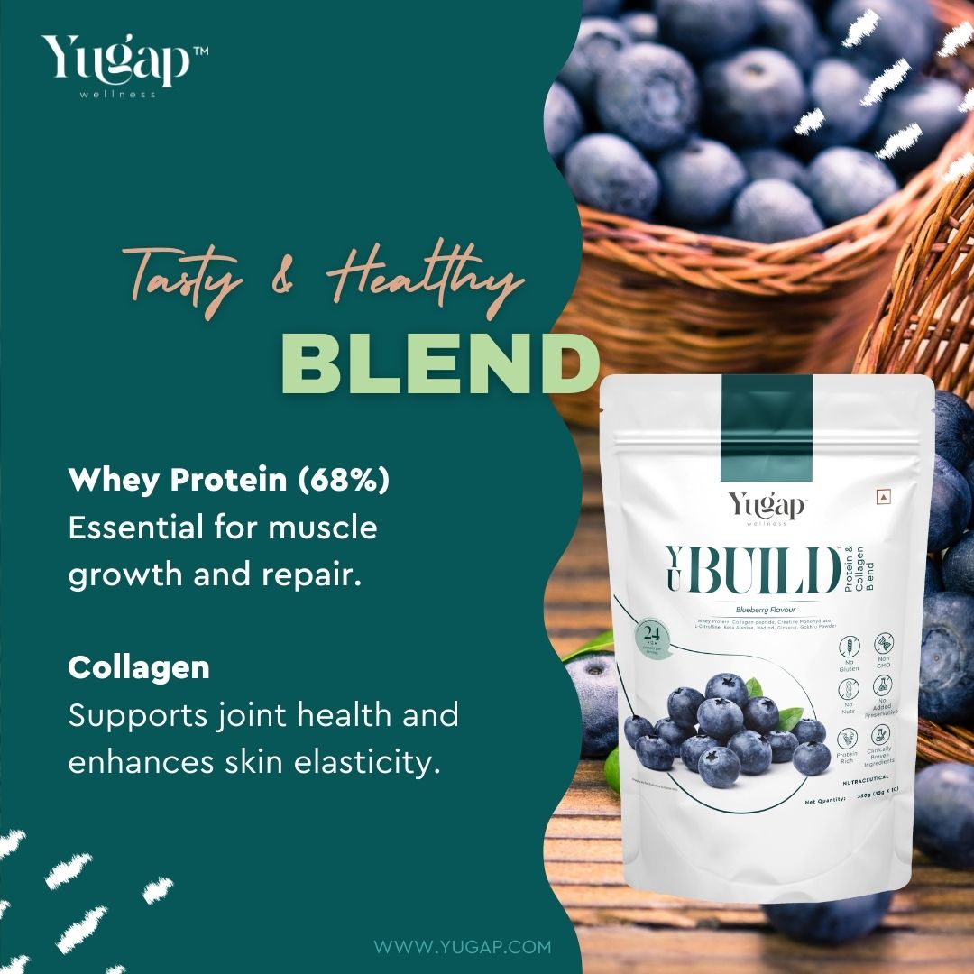 YuBuild | Whey Protein Blend with Collagen | Blueberry Flavour (350g)