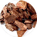 <strong>Pine Bark Extract:</strong> A natural antioxidant source known to help support circulation, cellular protection, and overall wellness.