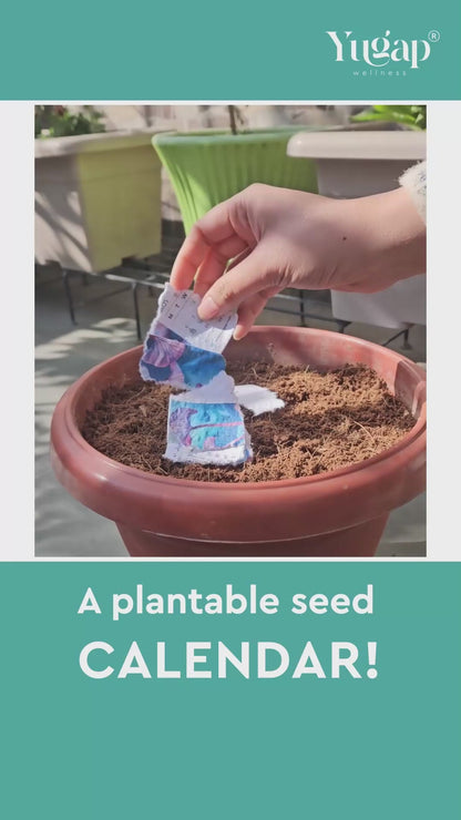 Video thumbnail showing hand planting Yugap plantable seed calendar cards into soil in a terracotta pot, promoting eco-friendly, sustainable seed calendars for gardening enthusiasts