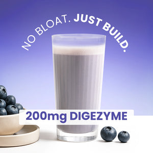Glass of YuBuild whey-protein collagen drink with 200 mg DigeZyme digestive enzymes, blueberry garnish, and text ‘No Bloat. Just Build.’ on a purple background, promoting protein shake with digestion support for muscle recovery.